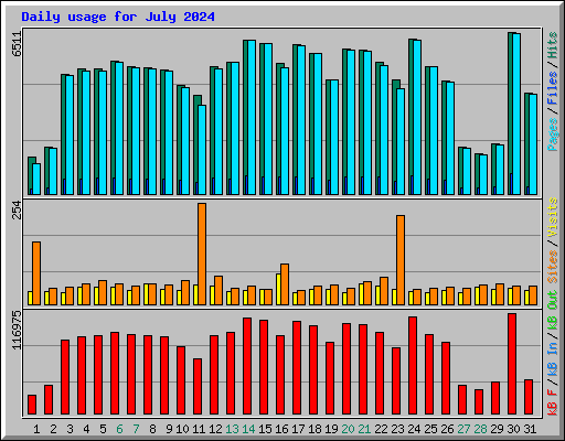 Daily usage for July 2024