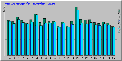 Hourly usage for November 2024