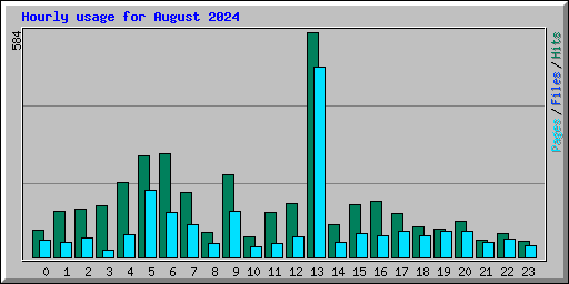 Hourly usage for August 2024