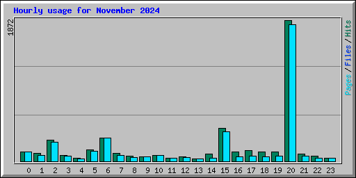 Hourly usage for November 2024